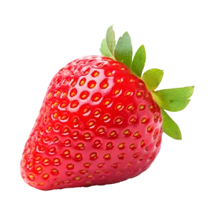 Erdbeere