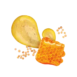 Honey Mustard / 285ml