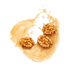 Maple Walnut / 500g